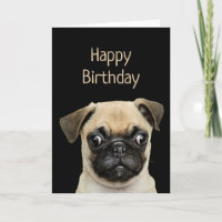 Amusant Humour d'anniversaire animal animal animal