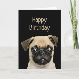 Carte Amusant Humour d'anniversaire animal animal animal