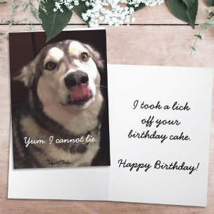 Carte Amusant Joyeux anniversaire Alaskan Malamute Chien