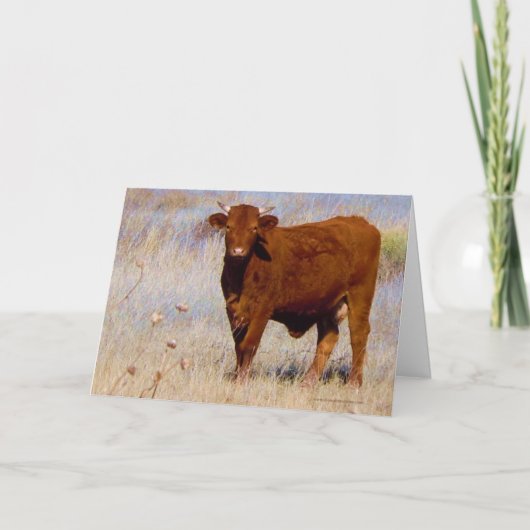Carte Amusant Joyeux Anniversaire de la jolie jeune vach (Devant)