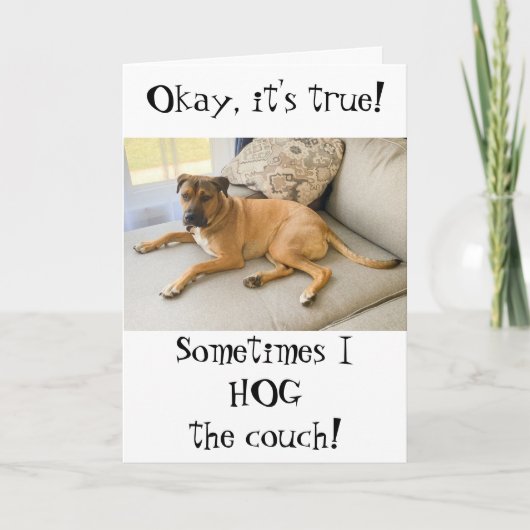 Carte Amusant Joyeux Anniversaire du chien (Devant)