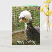 Carte Amusant Joyeux Anniversaire Polonais poulet (Fleur jaune)