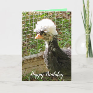 Carte Amusant Joyeux Anniversaire Poulet Polonais