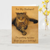 Carte Amusant Mari de chat Anniversaire (Fleur jaune)