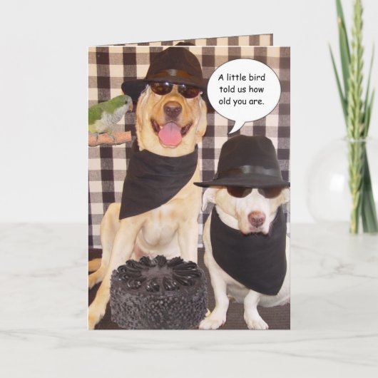 Carte Amusant sur la colline (Devant)