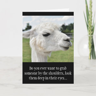 Carte Amusante Alpaca Llama Photo avec des plaisanteries