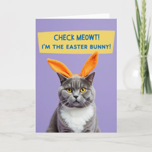 Carte amusante chat gris oreilles orange