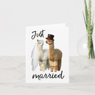Carte Amusante Mariée-Chemise Alpaca Et Mariage De Salle