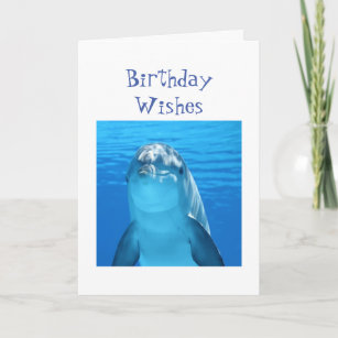 Carte Amusants Anniversaire Voix de marsouin ou dauphin