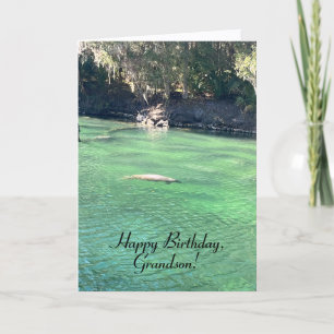 Carte Amusants, Manatee, Oiseau, Papillon, Anniversaire 