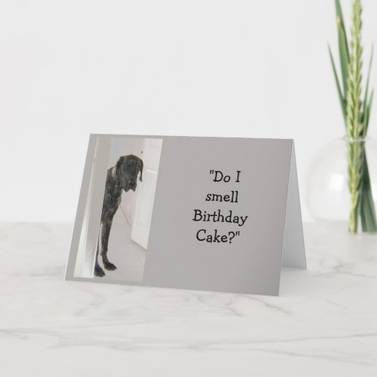 Carte Amusement De Gateau D Anniversaire D Humour De Zazzle Be