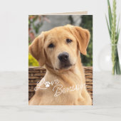 Carte Amusez Mon Meilleur Ami Photo Amour Empreinte de p (Devant)