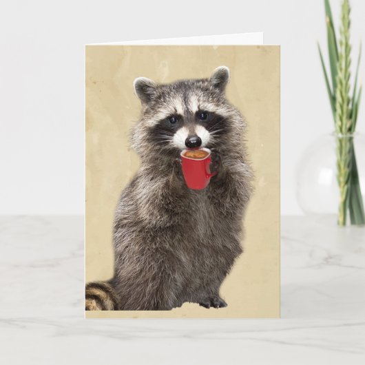 Carte Amusez-vous plus que mon Coffee Raccoon (Devant)