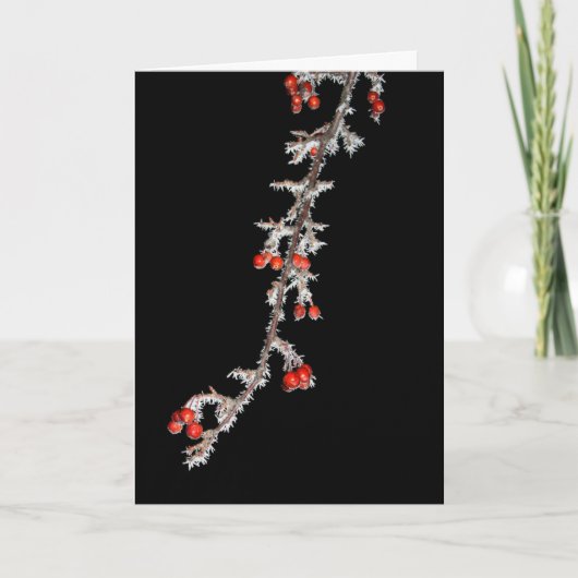 Carte Amusez-Vous Un Petit Noël Berry (Devant)