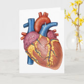 Carte Anatomie brute du coeur humain (Fleur jaune)