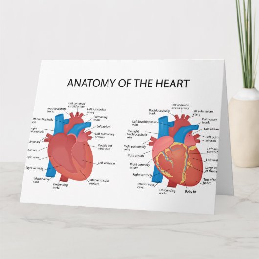 Carte Anatomie du coeur (Devant)