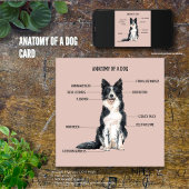 Carte Anatomie d'un chien