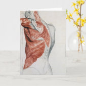 Carte Anatomie humaine; Muscles du Torse et de l'épaule (Fleur jaune)