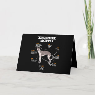 Carte anatomy of a whippet dog funny dog log