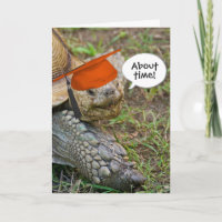 Ancien diplômé de Tortoise avec Casquette orange
