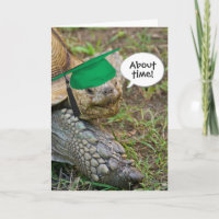 Ancien diplômé de Tortoise avec Casquette vert