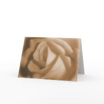 Ancien rose