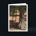Carte Ancienne échelle métallique contre l'olivier<br><div class="desc">Ancienne échelle métallique contre carte de voeux Olive Tree. Vous pouvez facilement customiser ce produit gratuitement si vous souhaitez ajouter un libellé ou changer la couleur de l'arrière - plan.</div>
