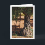 Carte Ancienne échelle métallique contre l'olivier<br><div class="desc">Ancienne échelle métallique contre carte de voeux Olive Tree. Vous pouvez facilement customiser ce produit gratuitement si vous souhaitez ajouter un libellé ou changer la couleur de l'arrière - plan.</div>