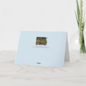 CARTE ANCIENNE PLANTE DE DRILL DE GRAINES DE FERME RUSÉE (Dos)