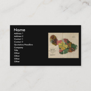 Carte ancienne vintage d'enquête de Maui - Hawaï,