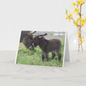 Carte âne (Fleur jaune)