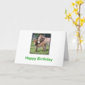 Carte Âne et bébé (Fleur jaune)