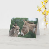 Carte âne et poulain (Fleur jaune)