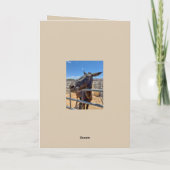Carte Âne mulet cheval si amical avec de la paille (Dos)