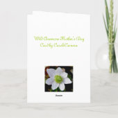 Carte Anemone Bonne Fête des Mères Fête de la Foster Mèr (Dos)