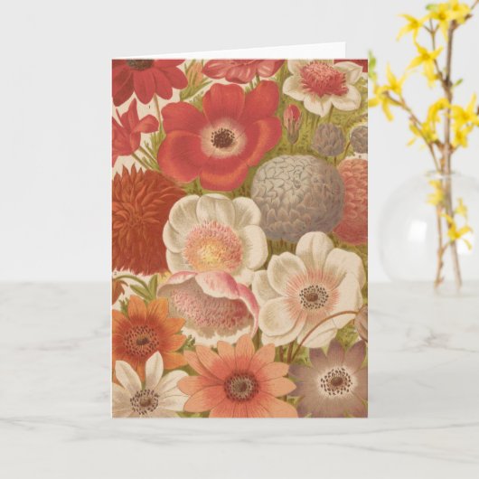 Carte Anémone | George Nicholson (Fleur jaune)