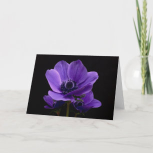 Carte Anémones violettes