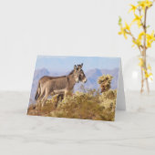 Carte Ânes sauvages d'Arizona (Fleur jaune)