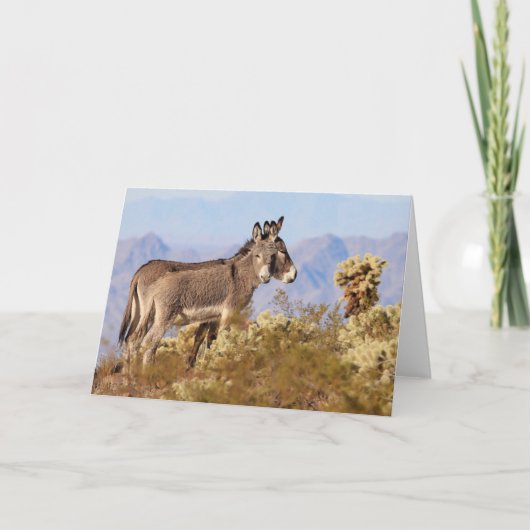 Carte Ânes sauvages d'Arizona (Devant)