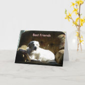 Carte Ange 03212006, meilleurs amis (Fleur jaune)