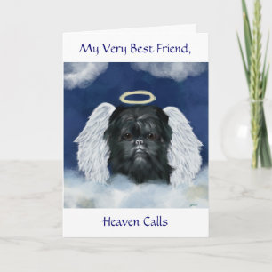 Carte Ange Affenpinscher