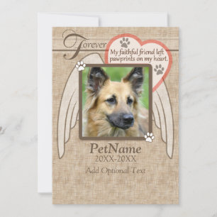 Carte Ange aimée pour toujours aimée ailes animal Sympat