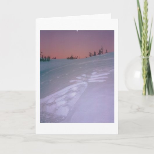 Carte Ange sous la lune (Devant)