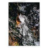 CARTE ANGEL (Devant)