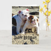 Carte Anglais Bulldogs chiot amour Anniversaire (Fleur jaune)