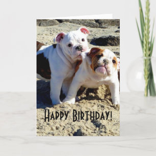 Carte Anglais Bulldogs chiot amour Anniversaire
