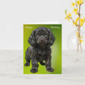 Carte Anglais Cocker Spaniel (Fleur jaune)