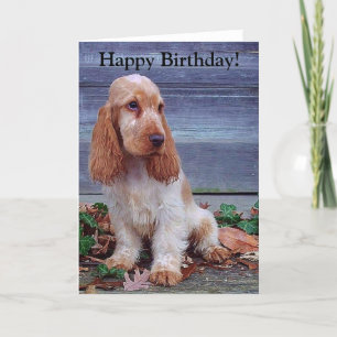 Carte Anglais Cocker Spaniels