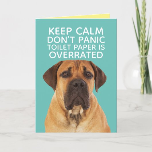 Carte Anglais Mastiff Staying Calm-TP Overrated (Devant)