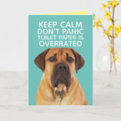 Carte Anglais Mastiff Staying Calm-TP Overrated (Fleur jaune)